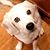 Deb Uden's profile image