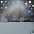 Joanne Soper Regan's profile image