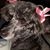 Sharon Walton Depew's profile image