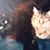 Catalina Juarez's profile image
