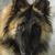 Cathy Thompson's profile image