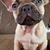 Kimberly Bridges-McDowell's profile image