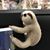 Heather Khoury Otto's profile image