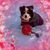 Joanne Stadnik's profile image