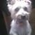 Sandra Hawkins's profile image