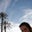 Heather Davis's profile image