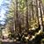 Liz Eilers's profile image