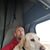 Kelly Patterson's profile image