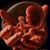Lisa Marie Taylor's profile image