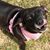Angie McDilda's profile image