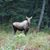 Luanne Link's profile image
