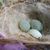 Karen Harwood's profile image