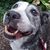 Sarah Adkins's profile image