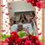 Donna Matthews McManus's profile image