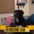 Heather Ryland's profile image