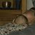 Glenda Hendry's profile image