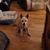 Suzie Melanie Henry's profile image