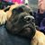 Karyn Heckman Mericle's profile image