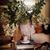 Stacey Quinn Williams's profile image
