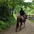 Judy Rittlinger Woodmancy's profile image
