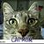 Cat VanDerfur's profile image