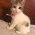 Jennifer Aram's profile image