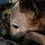 Nancy Cusey's profile image