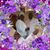 Michael Wilson's profile image