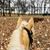 Liz Earley-Scott's profile image