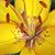 Christy Velvin's profile image