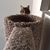 Cheri Murphy's profile image