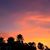 Liliana Ostertag-Newsome's profile image