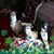 Loraine Stevens's profile image