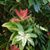 Melissa Rose Blais's profile image