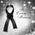 Luz Murillo's profile image