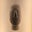 Harry's profile image