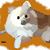 Megan Lott's profile image