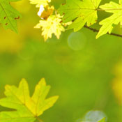 Dave M.'s profile image