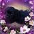 Becky Salow's profile image