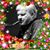 Don Layfield's profile image