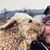 Roger Malerbakken Bjerke's profile image