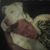 Devin Doty's profile image