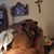 Jane Strebel's profile image