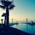 Shirley Newhart's profile image