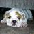Trisha Martin Horton's profile image