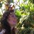 Malinda Rutherford's profile image