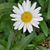 Betsy Arndt's profile image