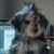 Joseph D'Eredita's profile image