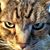 Norma Reed's profile image