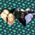 Michaela Wesolowski's profile image